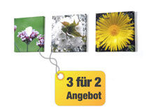 Mini Foto Leinwand Angebot