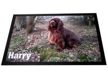 Fressnapfunterlage Hund Harry