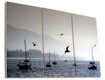 Leinwand dreiteilig