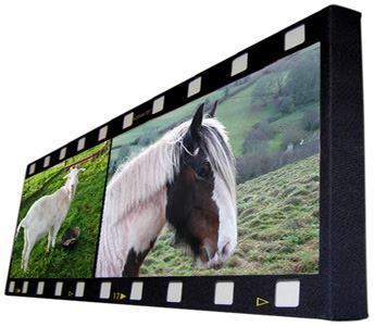 Leinwanddruck in Filmstreifenoptik für Tierfreunde