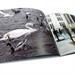 Softcover Fotobuch aufgeschlagen Schwan