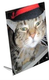 glasbild mit foto katze