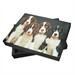 Fotobuch Box vier Hunde