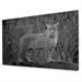 Foto Leinwand schwarz-weiss Leopard