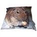 Sitzkissen Hamster