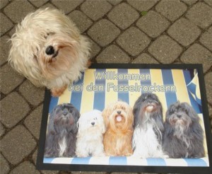 Eine Fressnapfunterlage oder Fussmatte bedruckt mit einem Foto von Hunden und einem Willkommensgruß.