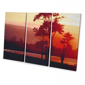 Foto Leinwand bestehend aus drei Teilen mit Landschaftsmotiv Baum mit Sonnenuntergang