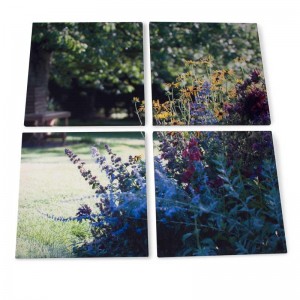 Eine vierteilige Foto Leinwand bedruckt mit einem Foto von Blumen im Garten