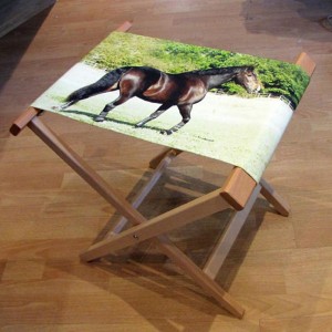 Ein Hocker bedruckt mit einem Foto eines Pferdes