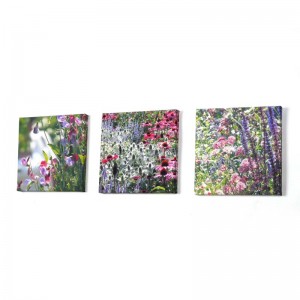 Mini Foto Leinwand mit Motiven einer Blumenwiese