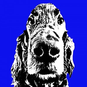 Pop Art Foto Che mit einem Hund auf blauem Hintergrund