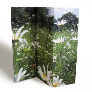 Ein Raumteiler bedruckt mit einem Foto von einer Blumenwiese
