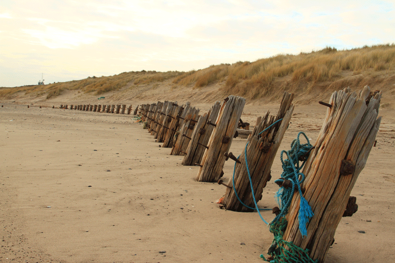 Foto eines Strandes mit Holzpfählen