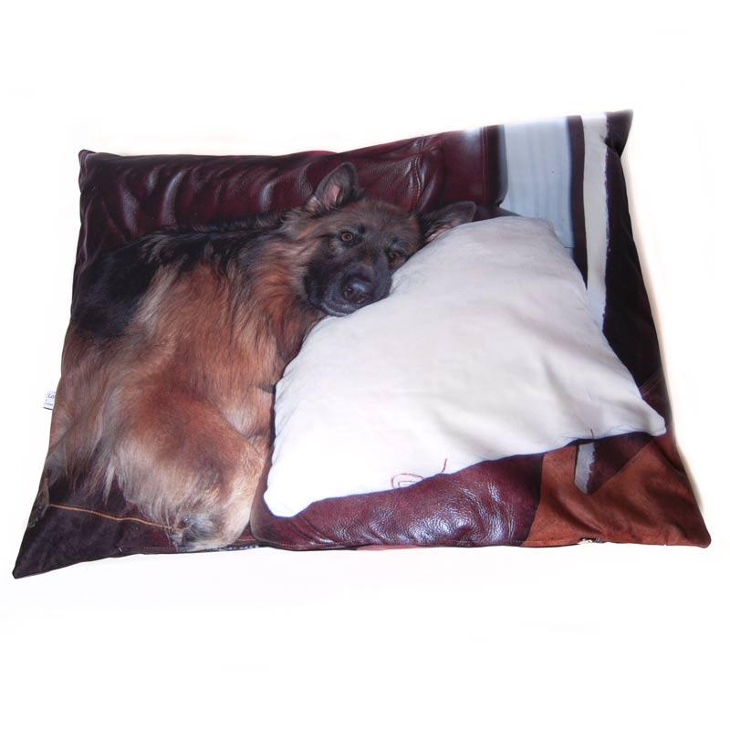 Foto Sitzkissen für Tiere, Sitzkissen bedruckt mit einem Foto eines Hundes