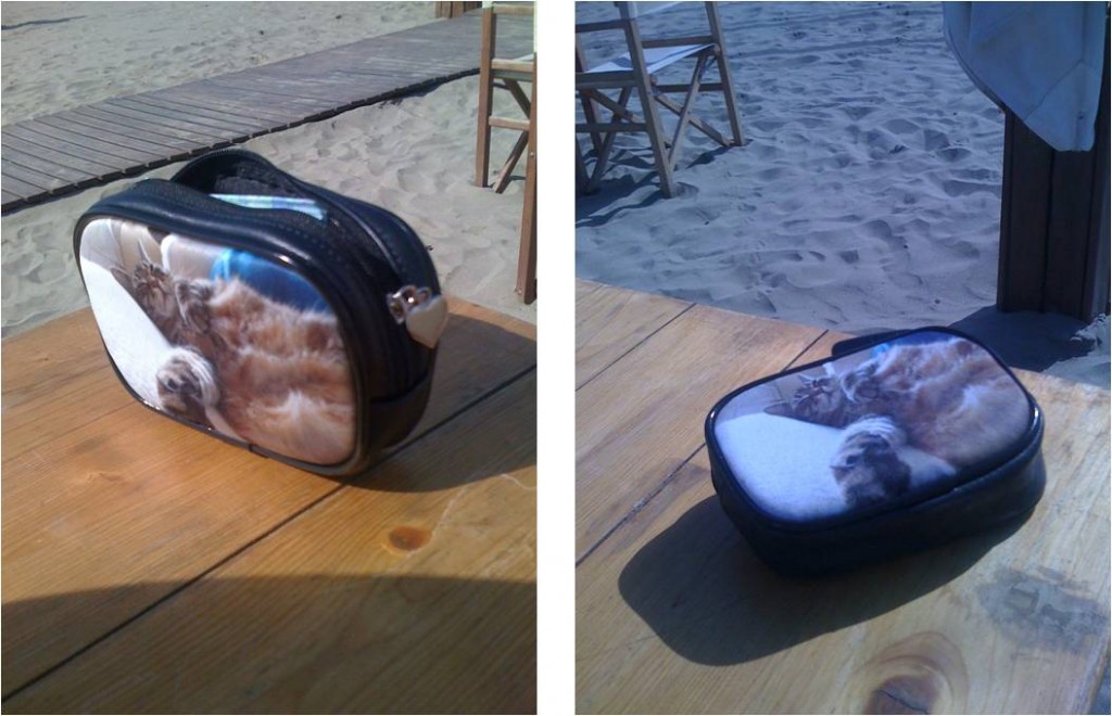 Kleines Täschchen mit Foto einer Katze am Strand