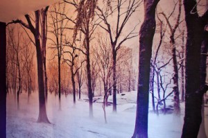 Fototapete selber gestaltet aus eigenem Foto Winterwald