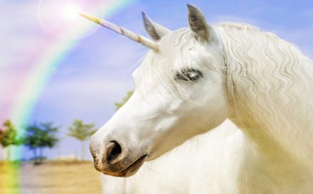 Wie werde ich ein Einhorn