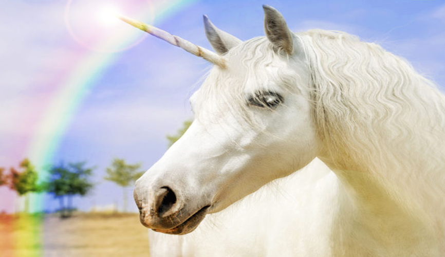 Wie werde ich ein Einhorn